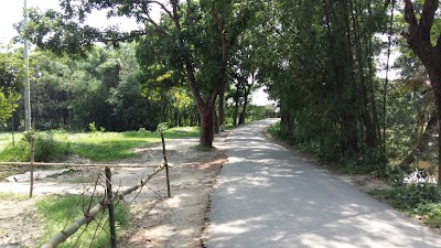 Photos of Baliadangi koborsthan