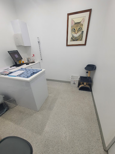 Rockdale Veterinary Hospital - Thumbnail