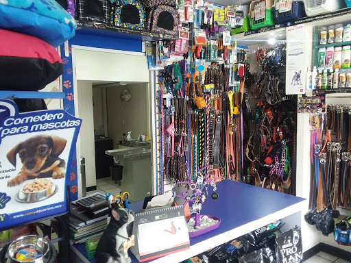 Centro Veterinario Pets