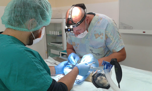 Ambulatorio Veterinario Dott.Rinaldi - Thumbnail