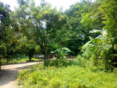 Photos of Old Shishu Park