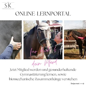 SK Pferdeausbildung & Reha Hauptstraße 20, 94163 Saldenburg