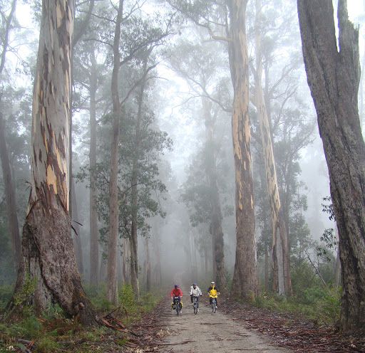 Snowy River Cycling Gallery - Australia