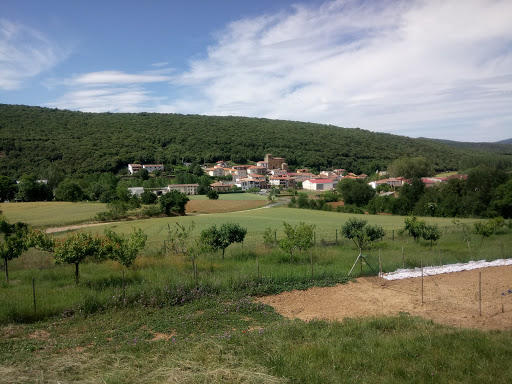 Marañón - Visual