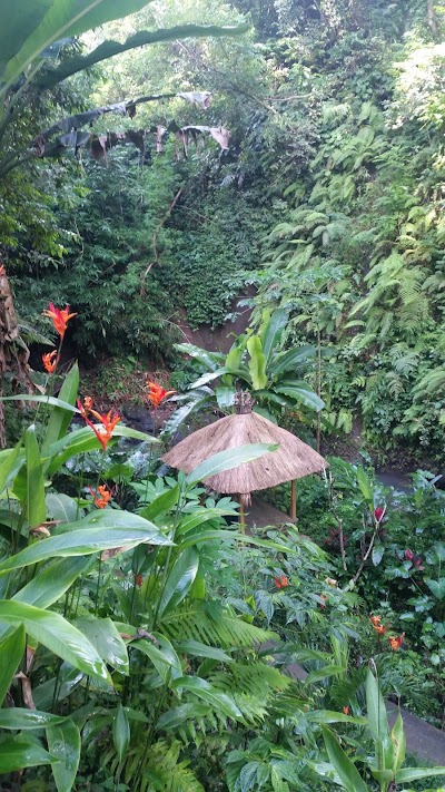 Photos of Parkir Air Terjun Tibumana