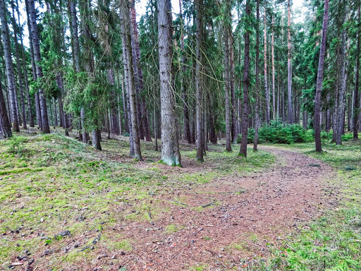 Roter Stein - Visual