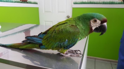 Photos of HEVM HOSPITAL VETERINARIO MOTAMASCOTA