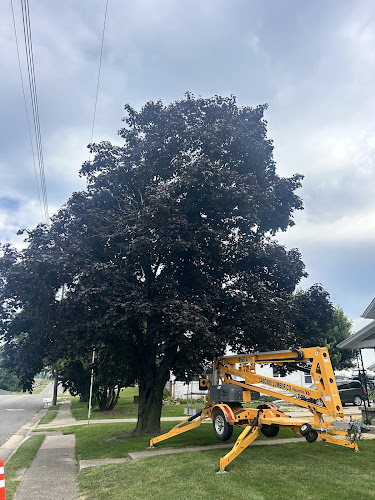 Holmes Firewood and Tree Service