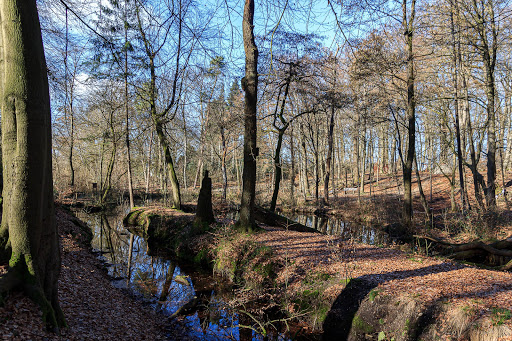 Ketelwald - Thumbnail