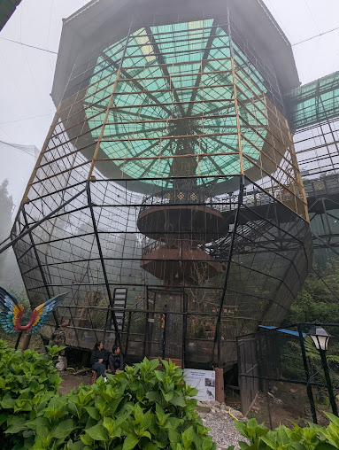 Af1qipmn4sehlyerldzss9th 9hohfrig0sinmymbxth=s508 K No