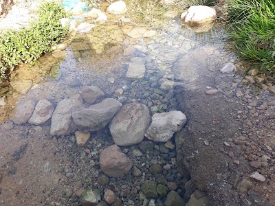 Photos of Zarghan Forest Park