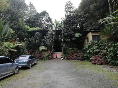 Photos of Comida tipica San Lucas