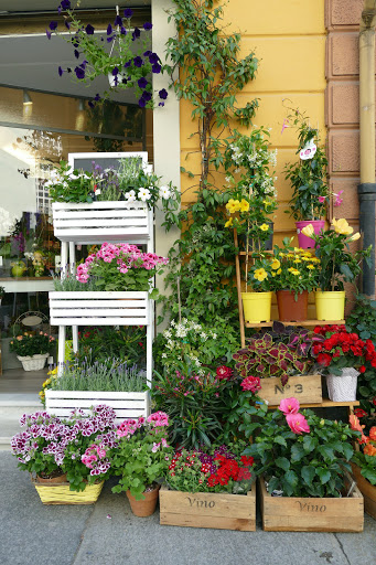 Il Giardino Di Pan Di Morelli Antonio Gallery - Italy