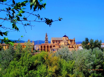 Photos of Mosque-Cathedral of C&oacute;rdoba