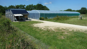 Photo n°1 de Spiruline de Rospico à Névez (Ferme aquacole)