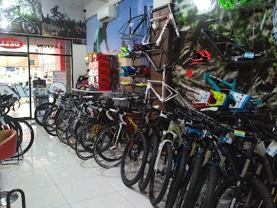 Store