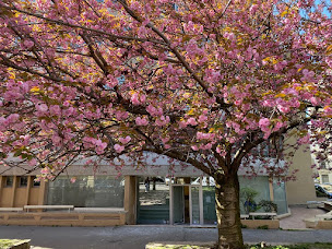 Photo n°4 de Dr WAKIM Marc à Paris (Dentiste)