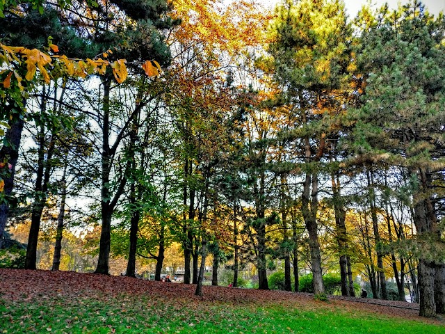 Parc Georges-Brassens