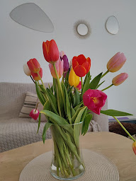 Photo n°20 de Les Fleurs du Boutonnet à Montpellier (Fleuriste)