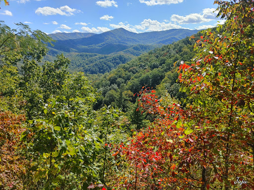 Laurel Falls Trailhead - Thumbnail