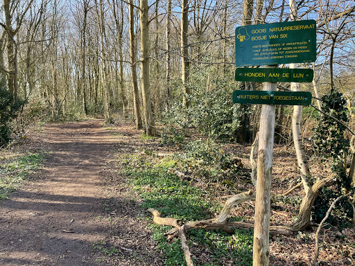 Goois Natuurreservaat Bosje van Six - Thumbnail