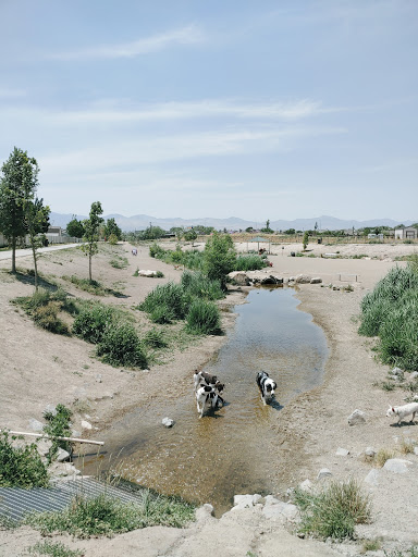 Draper Dayland Dog Park - Thumbnail