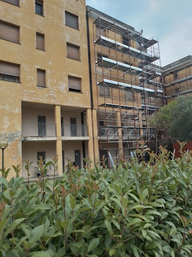 CINTOLESE - Visual