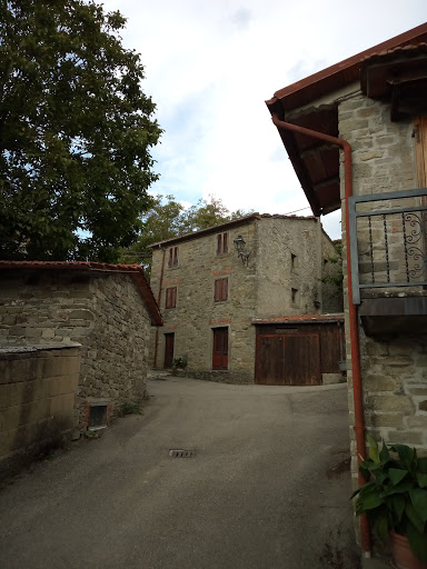 Dama in Casentino - Thumbnail