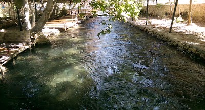 Photos of &Ccedil;AĞ &Ccedil;AĞ Piknik Alanı