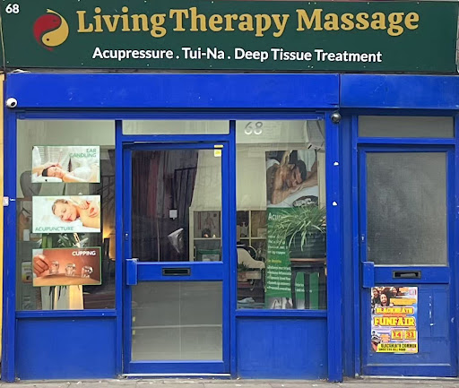 Living Therapy Massage & Acupuncture