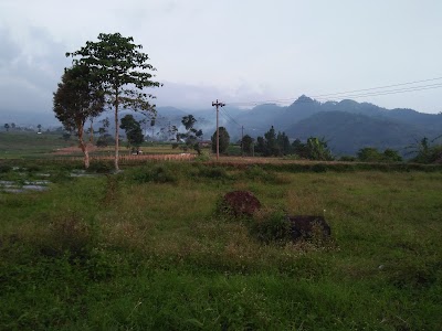 Photos of AC Futsal Tuwel