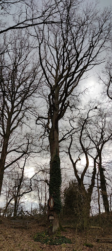Maria Eich - Visual
