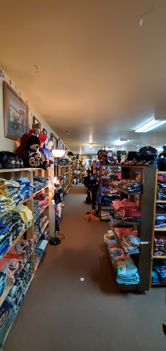Bear Store - Visual