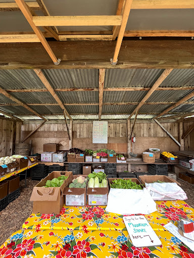 Redwood Roots Farm Cooperative - Thumbnail