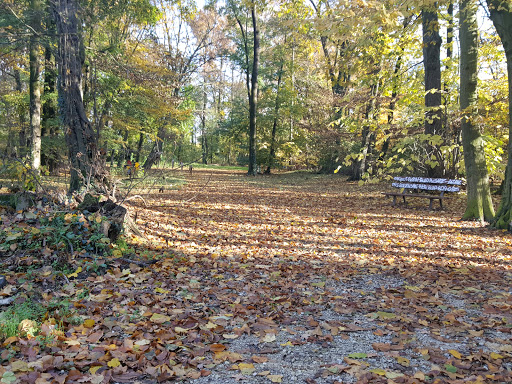 Parco comunale ''La Risaretta'' - Thumbnail