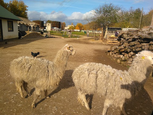 Dundaga Exotic Animal Zoo