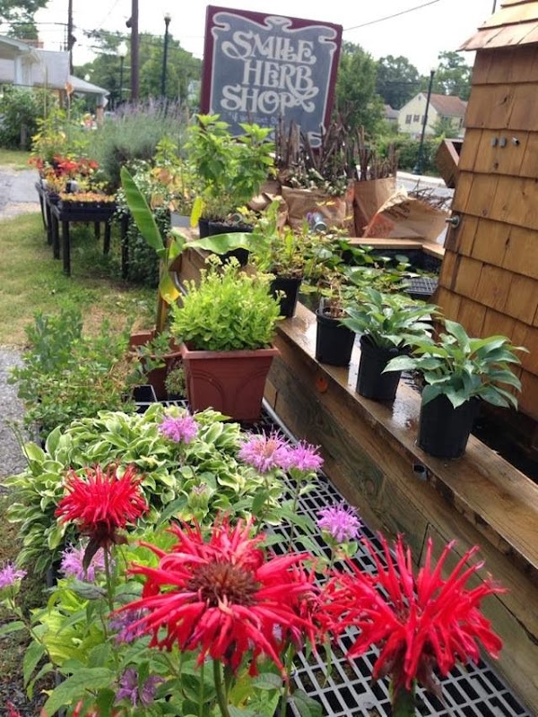 Smile Herb Shop photo 1