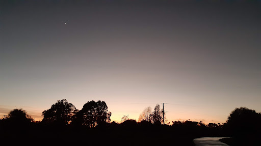 Mangaiti Park Recreation Reserve