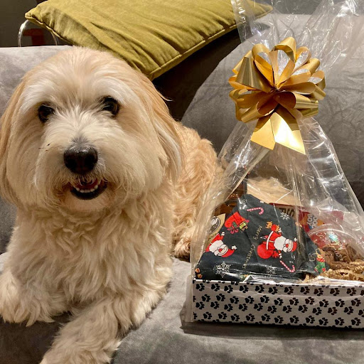 Daisy's Doggy Hampers - Thumbnail