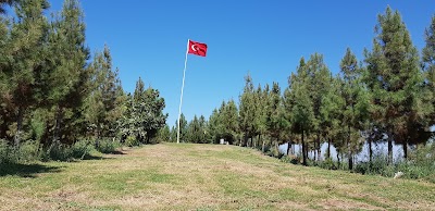 Sıralı Bayraklı Tepe Mahallesi