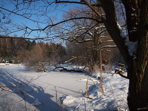 Naturschutzstation Herrenhaide - Thumbnail