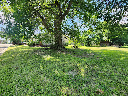Haily Martin, Real Estate Agent - RE/MAX Bluebonnet Properties - Thumbnail