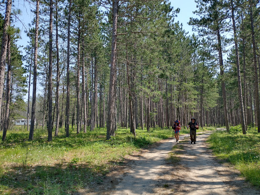 McKinley Trail Camp for the Shore to Shore Horseback and Hiking Trail - Thumbnail