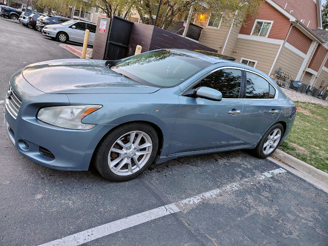 Steadymobiledetailing llc