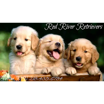 Red River Retrievers