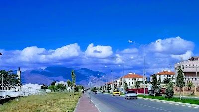 Erzincan University Dean of the Faculty of Medicine