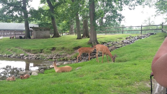 FAWN-DOE-ROSA Wildlife Educational Park