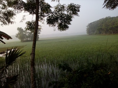 Photos of Aminbari Panjegana