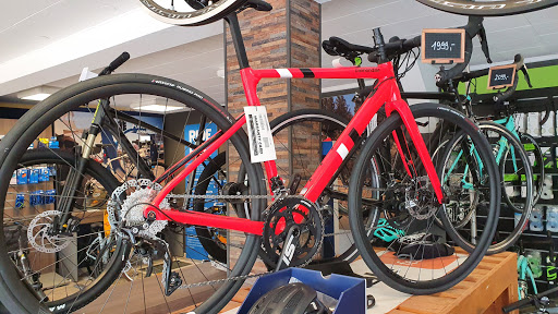 Cycles Pierre - Thumbnail