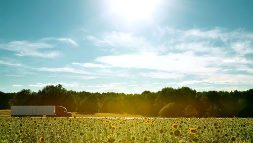 PosturXpress - Visual